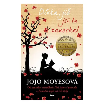 Dívka, již jsi tu zanechal - Jojo Moyes