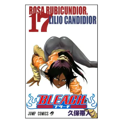 Bleach 17 - Tite Kubo