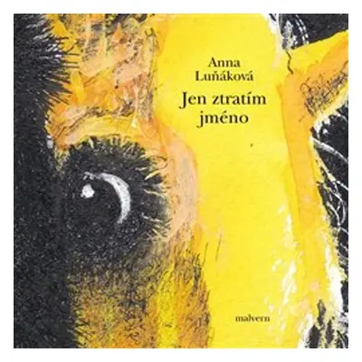 Jen ztratím jméno - Anna Luňáková