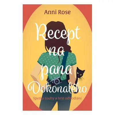 Recept na pana Dokonalého - Anni Rose