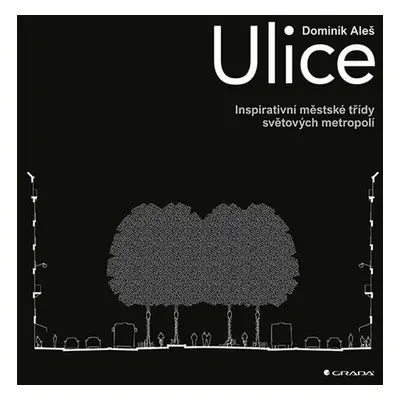 Ulice - Dominik Aleš