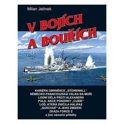 V bojích a bouřích - Milan Jelínek