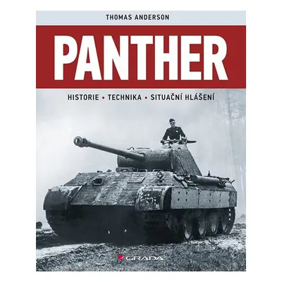 Panther - Thomas Anderson