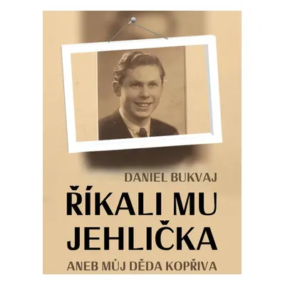 Říkali mu Jehlička - Daniel Bukvaj