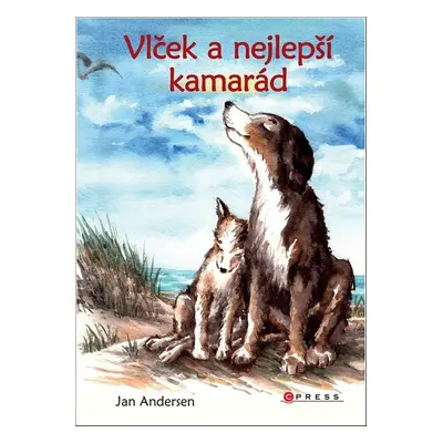 Vlček a nejlepší kamarád - Jan Andersen