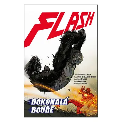 Flash Dokonalá bouře - Joshua Williamson