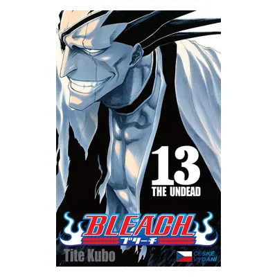 Bleach 13 - Tite Kubo