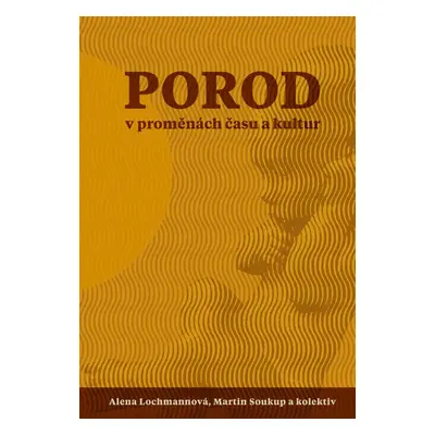 Porod v proměnách času a kultur - Autor Neuveden