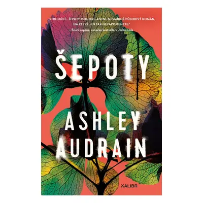 Šepoty - Ashley Audrain