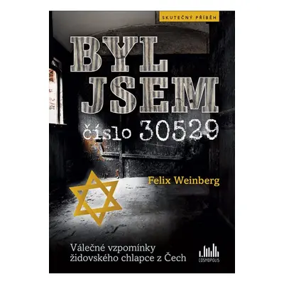 Byl jsem číslo 30529 - Felix Weinberg