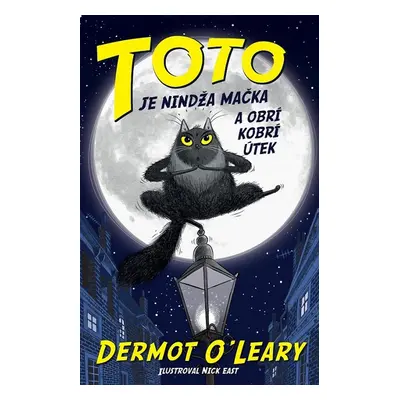 Toto je nindža mačka a obrí kobrí útek - Dermot O Leary