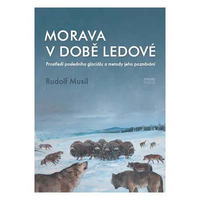 Morava v době ledové - Rudolf Musil