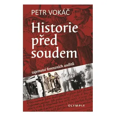 Historie před soudem - Ing. Petr Vokáč