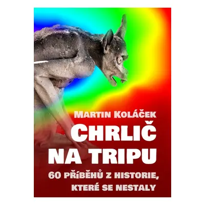 Chrlič na tripu - Bc. Martin Koláček