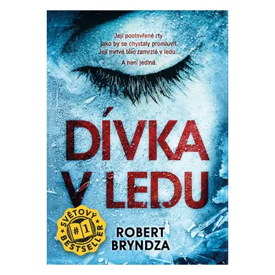 Dívka v ledu - Robert Bryndza