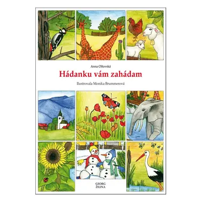 Hádanku vám zahádam - Anna Olšovská