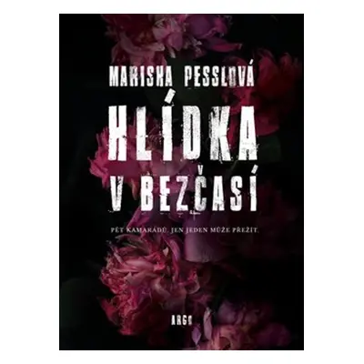 Hlídka v Bezčasí - Marisha Pessl