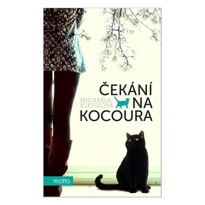 Čekání na kocoura - Michaela Klevisová