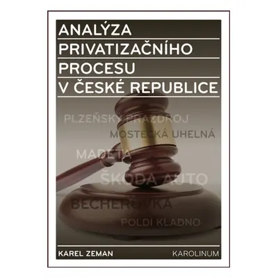 Analýza privatizačního procesu v České republice - Karel Zeman