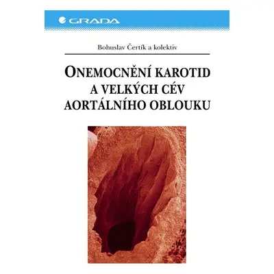 Onemocnění karotid a velkých cév aortálního oblouku - Bohuslav Čertík