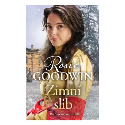 Zimní slib - Rosie Goodwin