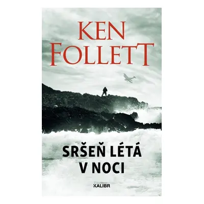 Sršeň létá v noci - Ken Follett