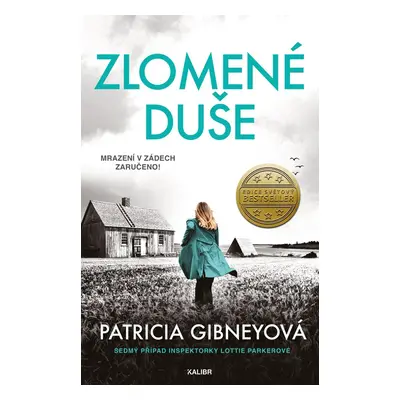 Zlomené duše - Patricia Gibney