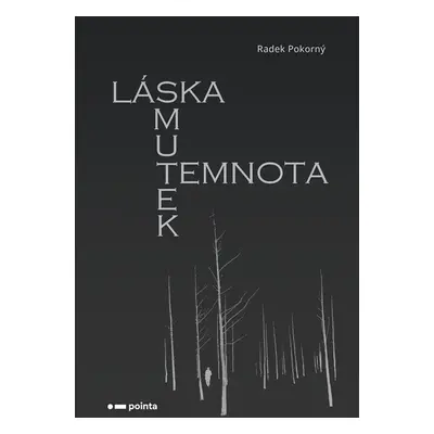 Láska, smutek, temnota - Radek Pokorný