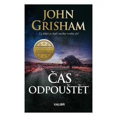 Čas odpouštět - John Grisham