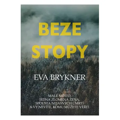 Beze stopy - Eva Brykner