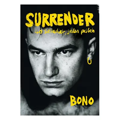 Surrender: 40 skladieb, jeden príbeh - Bono