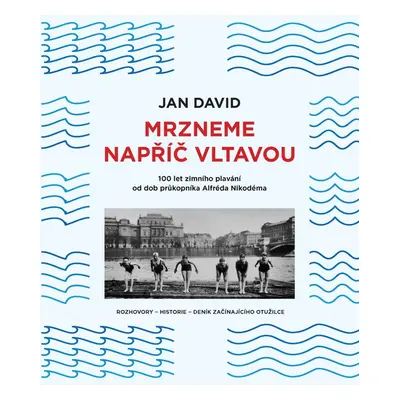 Mrzneme napříč Vltavou - Jan David