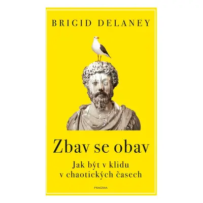 Zbav se obav - Brigid Delaney