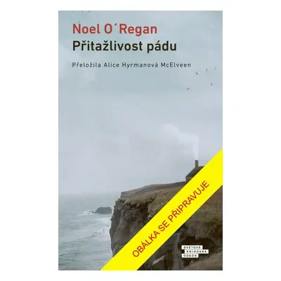 Přitažlivost pádu - Noel O´Regan