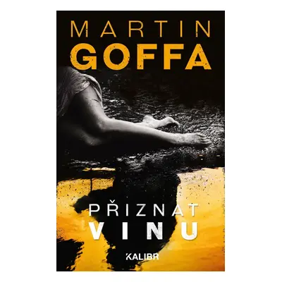 Přiznat vinu - Martin Goffa