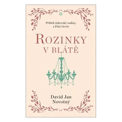 Rozinky v blátě - David Jan Novotný