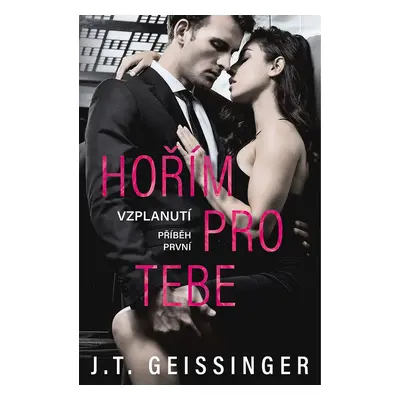 Hořím pro tebe - T.J. Geissinger