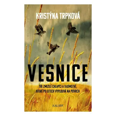 Vesnice - Kristýna Trpková