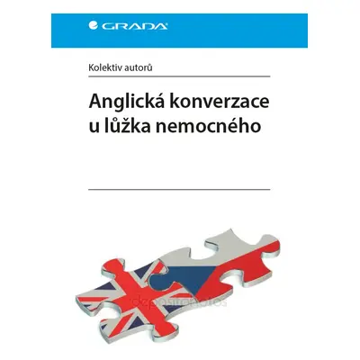 Anglická konverzace u lůžka nemocného - autorů kolektiv