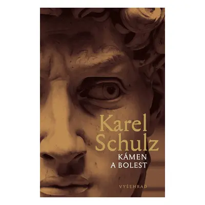 Kámen a bolest - Karel Schulz