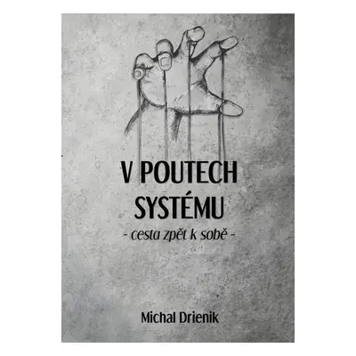 V poutech systému - Michal Drienik