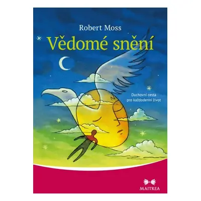 Vědomé snění - Robert Moss