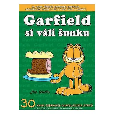 Garfield si válí šunku - Jim Davis