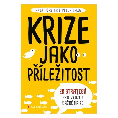 Krize jako příležitost - Anja Förster