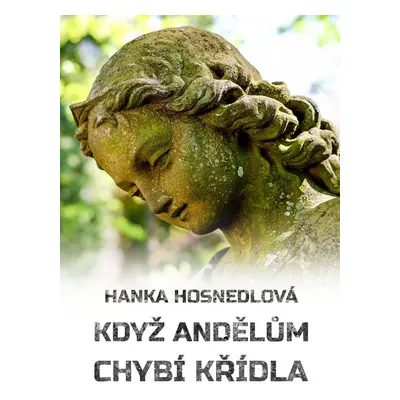 Když andělům chybí křídla - Hanka Hosnedlová