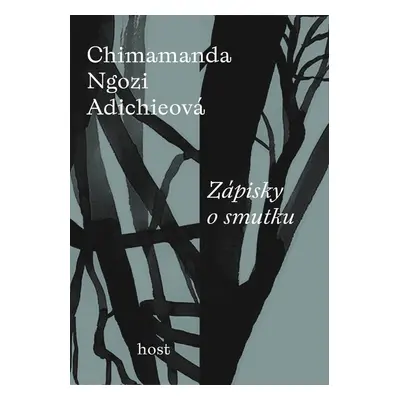 Zápisky o smutku - Chimamanda Ngozi Adichieová