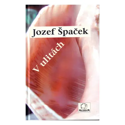 V ulitách - Jozef Špaček