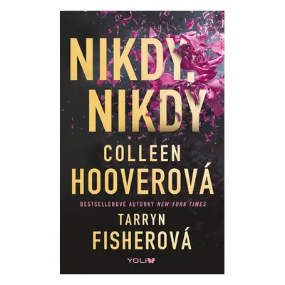 Nikdy, nikdy - Colleen Hoover