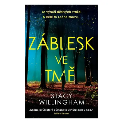 Záblesk ve tmě - Stacy Willingham