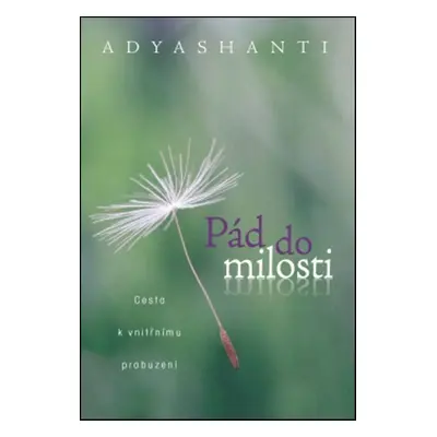 Pád do milosti - Adyshanti